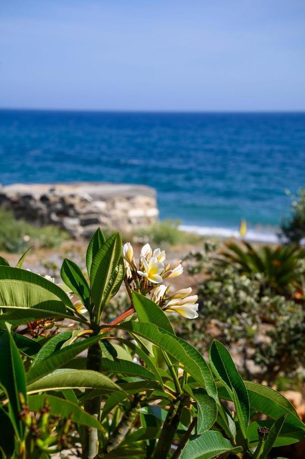 Marina Apartments Léntas المظهر الخارجي الصورة